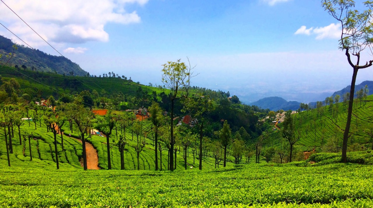 Ooty is a Prime Destination