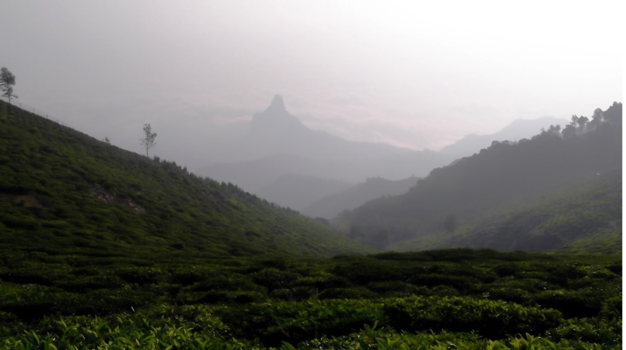 Kodanad View Point in Kotagiri